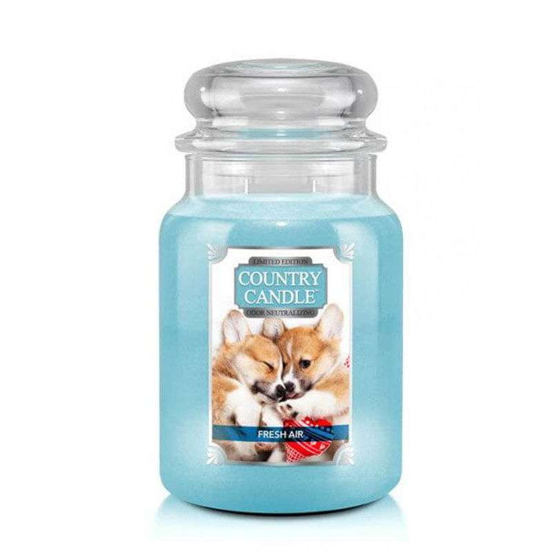 Country Candle Fresh Air Puppy - duża świeca zapachowa - candlelove