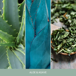 Aloe & Agave - duża świeca zapachowa - e-candlelove